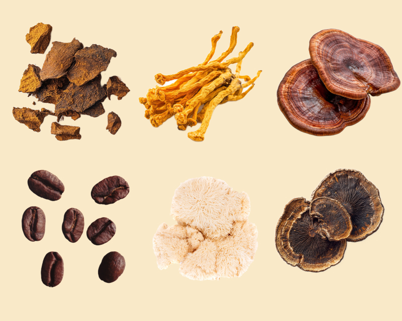 Adaptogens balance caffeine